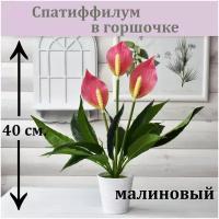 Спатифиллум малиновый в горшочке / Реалистичный искусственный цветок / Спатифиллум из латекса