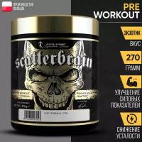 Предтренировочный комплекс LEVRONE Scatterbrain 270г Exotic (Экзотик)