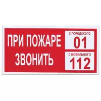 Знак пожарной безопасности "При пожаре звонить 01" (пленка ПВХ, 300х150мм) 1шт. (610047/В 47)