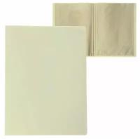 Папка с 20 вкладышами А4, 500 мкм, Calligrata, молочно-белая