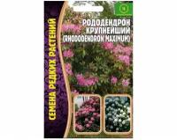 Семена Рододендрона крупнейшего (Rhododendron maximum) (0,01 г)