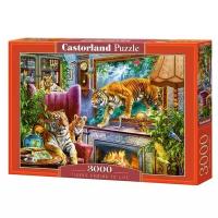 Пазл Castorland Tigers comming to life (C-300556), 3000 дет., 68х92х5 см, разноцветный