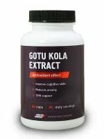 Gotu kola extract / PROTEIN.COMPANY / Экстракт готу кола / Капсулы / 45 порций / 90 капсул