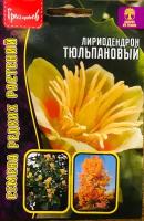 Семена Лириодендрона Тюльпанового (5 семян)