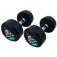 Набор гантелей неразборных DFC Powergym DB002 2х15 кг