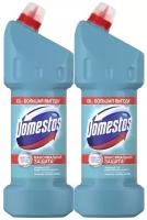 Гель Domestos Свежесть Атлантики 2х1,5л