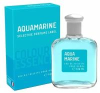 Delta parfum Туалетная вода мужская Colour Essences Aquamarine