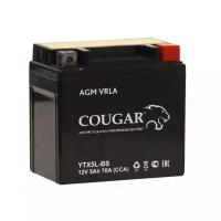 Аккумулятор мотоциклетный Cougar AGM YTX5L-BS 12V 5Ah (залит и готов к применению)