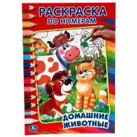 Раскраска по номерам «Домашние животные», Умка