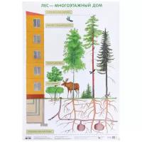 Плакат Мозаика-Синтез Наглядные пособия. Лес-многоэтажный дом, А2 ФГОС, 2022, cтраница 1