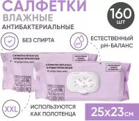 Влажные гигиенические салфетки антибактериальные BESIDE большие 25х23, 2*80шт набор полотенца, флоупак с клапаном