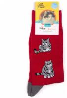 Носки St. Friday Коты и кошки, размер 38-41, серый, красный
