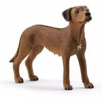 Фигурка Schleich Родезийский риджбек 13895, 6.8 см