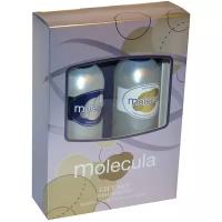 Подарочный косметический парфюмерный набор FESTIVA Parfum Series MOLECULA для женщин (Шампунь250мл. + Гель д/душа250мл.)