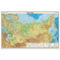 DMB Физическая карта Россия 1:14,5 (4607048957264), 58 × 37 см