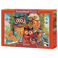 Пазл Castorland Owls (C-200535), 2000 дет