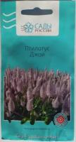 Птилотус "Сады России" Джой 3шт