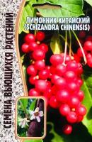 Семена Лимонника китайского (Schizandra chinensis) (5 семян)