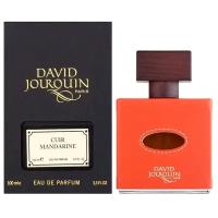 David Jourquin парфюмерная вода Cuir Mandarine
