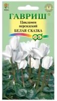 Цикламен "Гавриш" Белая сказка персидский 3шт