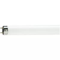 Лампа люминесцентная Philips MASTER TL-D Food SLV/25, G13, T28