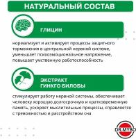 Гинкго Билоба с Глицином в таблетках, для памяти и активизации работы мозга, природный антидепрессант, 90 штук