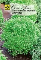 Семена Базилик Маркиз зеленый 1 г (Семко). Подходит для выращивания в домашних условиях: в горшке, на балконе или подоконнике