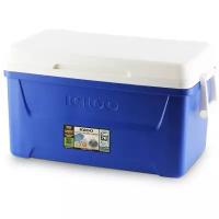 Изотермический пластиковый контейнер Igloo Laguna 48 QT blue