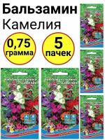 Бальзамин Камелия 0,15г, Уральский дачник - комплект 5 пачек