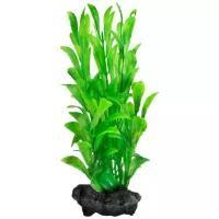 Искусственное растение Tetra Hygrophila S зелeный