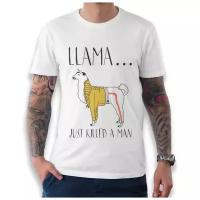 Футболка Dream Shirts Лама Меркьюри - Богемская Рапсодия Мужская M Белая