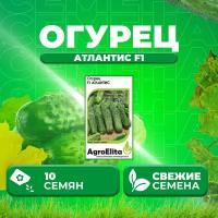 Огурец Атлантис F1, 10шт, AgroElita, Bejo (1 уп)