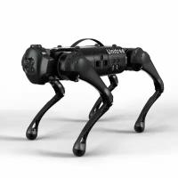 Четырехопорный робот Unitree Edu Go1 black (GO1-EDU BLACK)