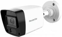 Камера видеонаблюдения аналоговая Falcon Eye FE-HB2-30A 2.8-2.8мм