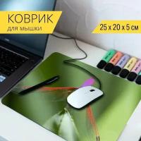 Коврик для мыши с принтом "Стрекоза, насекомое, крылья" 25x20см