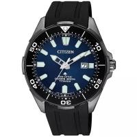 Наручные часы Citizen BN0205-10L