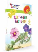 Цветковые растения. Иллюстрированная энциклопедия школьника. Орехов А. А