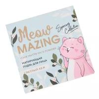 Beauty Fox Матирующая пудра для лица Meowmazing