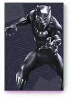 2 ТБ Внешний HDD Seagate Special Edition FireCuda, USB 3.2 Gen 1, Black Panther