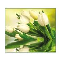 Фотообои Тула VIP Белые тюльпаны 12 листов 294/260