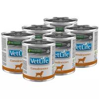 Vet Life Dog Convalescence консервы для собак в период восстановления Курица, 300 г. упаковка 6 шт