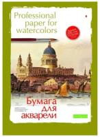 Папка для рисования акварелью Альт Проф (А2, 8 листов) 388473