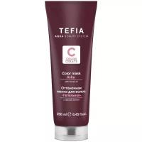 Tefia Color Creats Оттеночная маска для волос Пепельная, 250 мл, туба