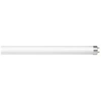 Лампа светодиодная ASD LED-standard, G13, T8R25.5