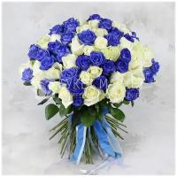 Букет живых цветов из 101 розы синей белой 60см