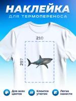 Термонаклейка для одежды наклейка Акула (Shark, Термонаклейка для одежды наклейка с Акулой)_0018