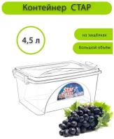 Контейнер "STAR BOX ", 4,5 л, прозрачный, DD Style, 30,5 х 20 х 13,5 см