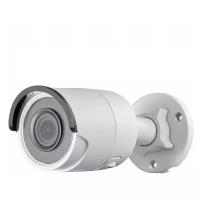 Hikvision IP-камера уличная Hikvision DS-2CD2043G0-I (4mm)