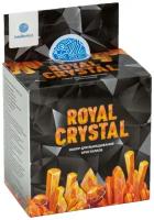 Набор для исследований Intellectico Royal Crystal, 1 эксперимент, оранжевый