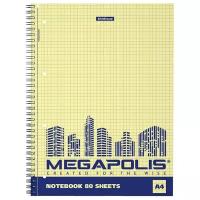 ErichKrause Упаковка тетрадей Megapolis Yellow Concept 49804, 2 шт., клетка, 80 л